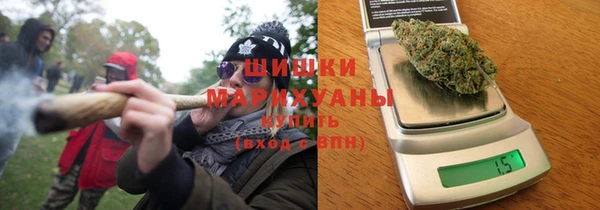гидра Корсаков