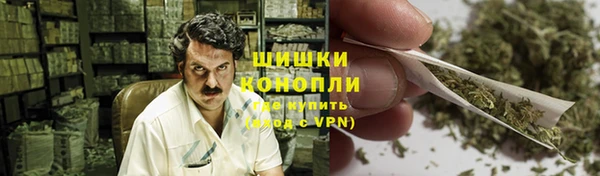 гидра Корсаков