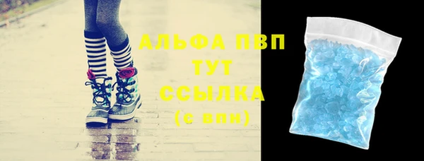 гидра Корсаков