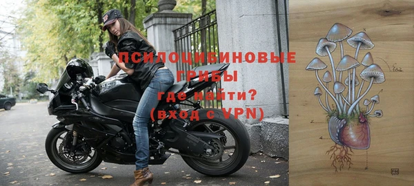гидра Корсаков