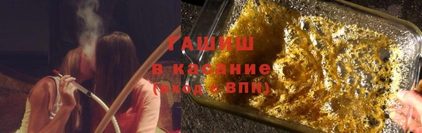 гидра Корсаков