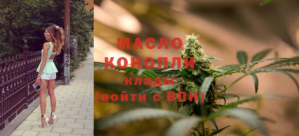 гидра Корсаков