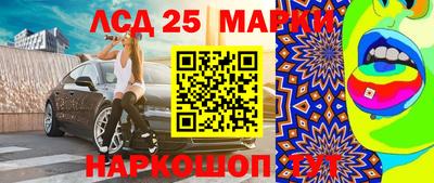шишки Брянск