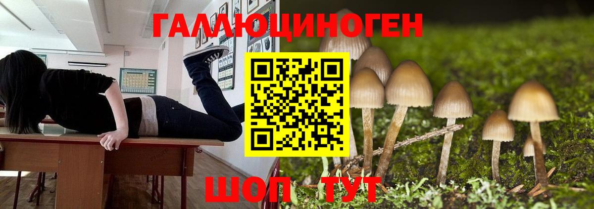 Псилоцибиновые грибы Cubensis Оренбург